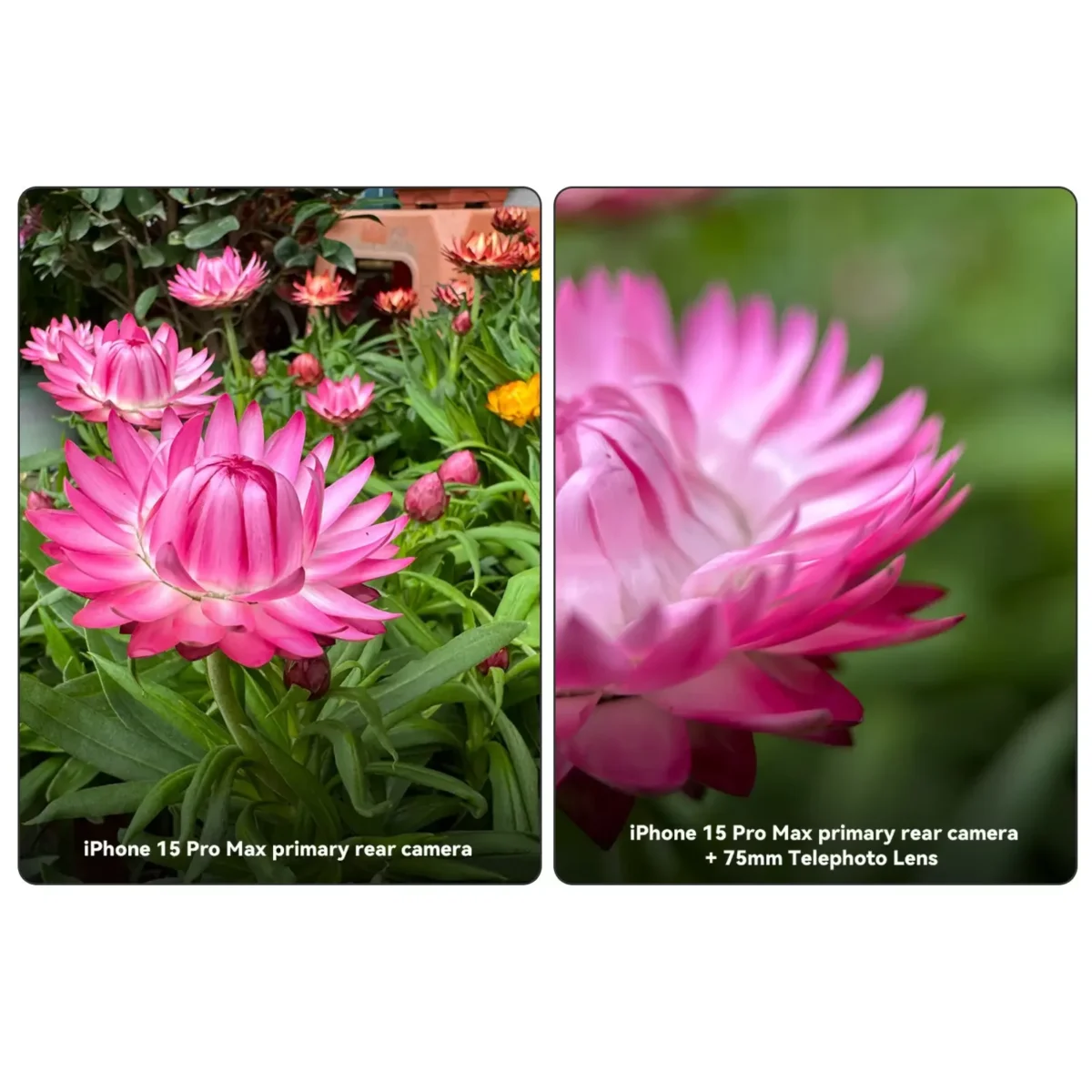 Fotorgear Macro Lens 75mm เลนส์มือถือ 75มม. เลนส์มาโคร T mount เลนส์โทรศัพท์ เลนส์ถ่ายแมลง เลนส์ถ่ายพระ เลนส์ถ่ายดอกไม้ กำลังขยาย 10x lens iphone