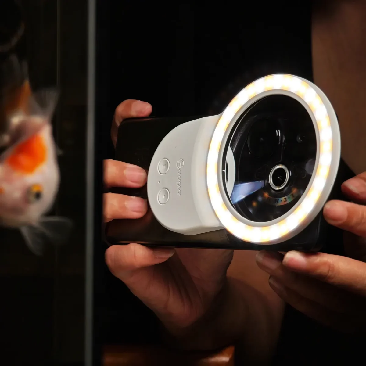 LED FOTORGEAR RINGLIGHT BK (7)
