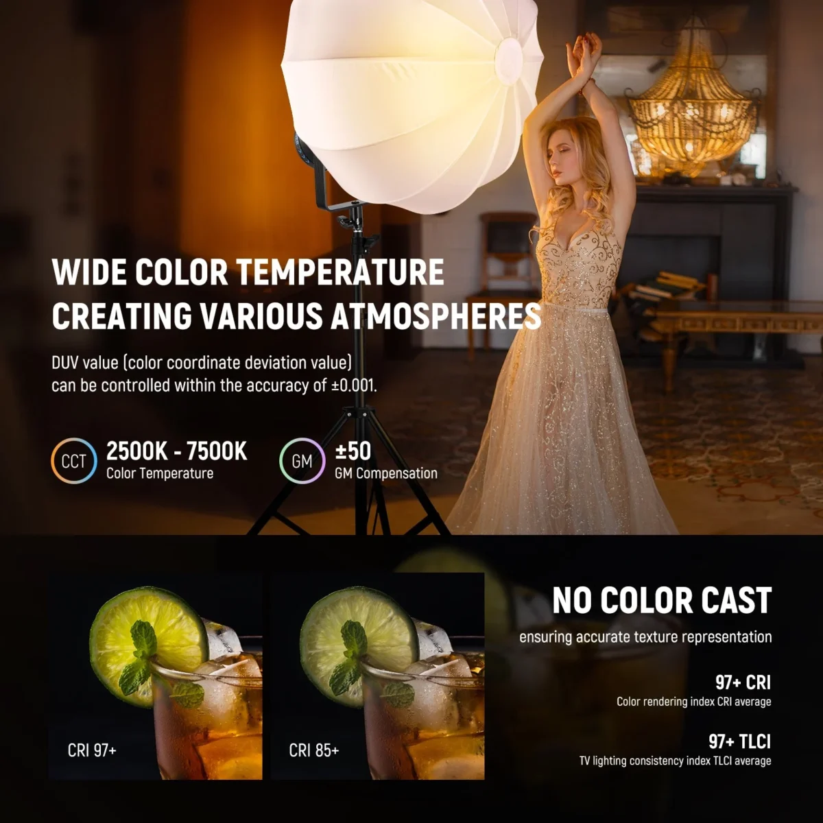 NEEWER CB300C 300W COB RGBWW LED Video Light 3